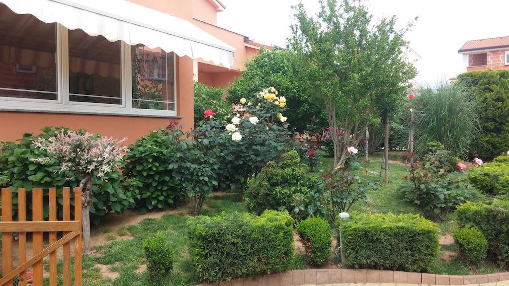 Apartments Meri Ližnjan Zewnętrze zdjęcie